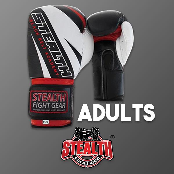 Adults 14oz Boxing Gloves