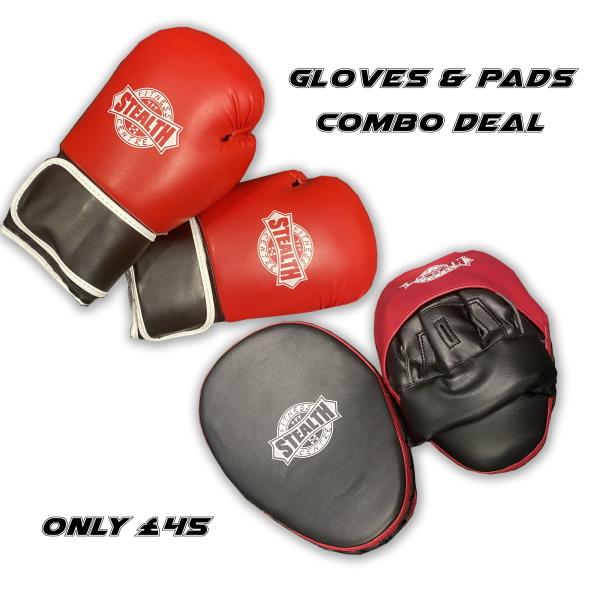 Boxing Gloves & Focus Pads