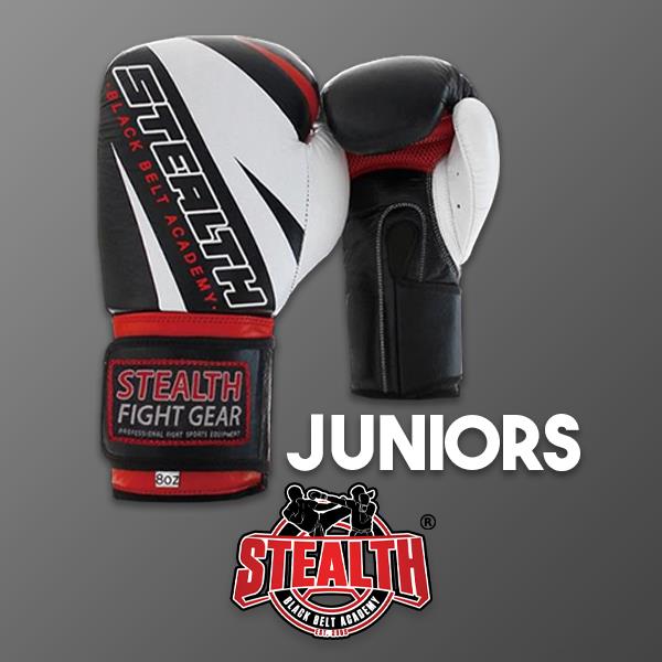 Juniors 8oz Boxing Gloves